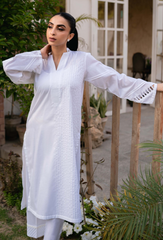 Humdum Stitched 2 Piece Emb Lawn Pret Collection'2025-03