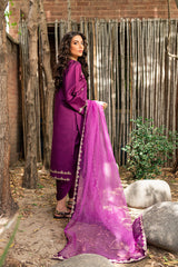 Vasal By Mannat Clothing Stitched Collection-Shabnami