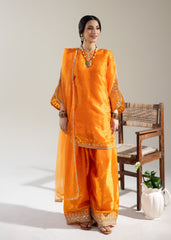 Rabt The Silk Edit by Meerak Stitched Formals Suit-Hoor