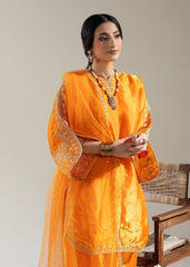 Rabt The Silk Edit by Meerak Stitched Formals Suit-Hoor
