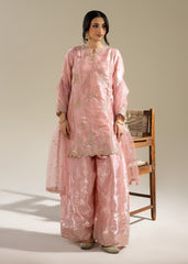 Rabt The Silk Edit by Meerak Stitched Formals Suit-Hera