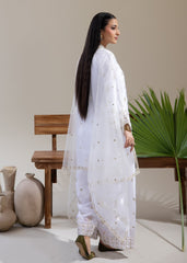 Rabt The Silk Edit by Meerak Stitched Formals Suit-Jahnoor