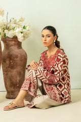 Daily Drop 1 By Meeral Co Ords Summer Collection'2025-MBC-0014