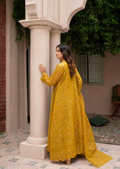 Rang Nirala By Manahils Stitched 3 Piece-K-151-MUSTARD
