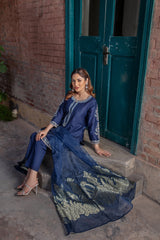 Panache Apparel Stitched Kurta Collection-Roshan