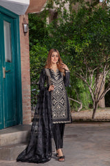 Panache Apparel Stitched Collection-Raven
