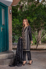 Panache Apparel Stitched Collection-Raven