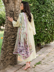 Wisteria by Roheenaz Unstitched 3 Piece Summer Lawn V-II Collection'2023-25-B-Afsheen