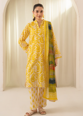 Solace By Meerak Stitched Chikankari Lawn Suit-DL 05