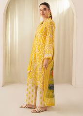 Solace By Meerak Stitched Chikankari Lawn Suit-DL 05