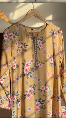 Amna Ali Nawaz Stitched Co Ord  Suit-BG001