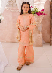 Modest Cotton Lawn Embroidered 3 Pc Suit