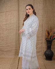 Ayla Studio Stitched Luxury Collection'2025-Assp-109 Dobby Spring 2Pcs