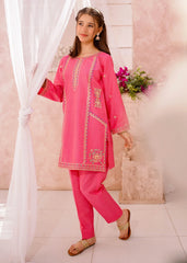 Modest 3 Piece Cotton Lawn Embroidered Suit
