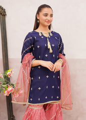 Modest Stitched 3 Piece Festive Edit Vol-02 Collection'2025-9895-Blu