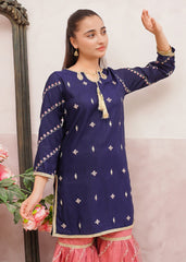 Modest Stitched 3 Piece Festive Edit Vol-02 Collection'2025-9895-Blu