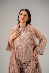 AURA Vol-01 By Zebtan Unstitched 3 Piece Luxury Formals Suit-AR-06 | Aura Vol-01