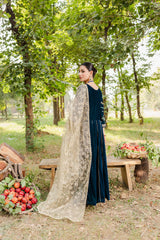 Panache Apparel Stitched Velvet Collection-Jahanara