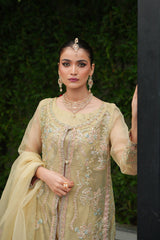 Celebrations By Mehreen Hamza Unstitched 3 Piece Luxury Formals Collection'2024-Nargis