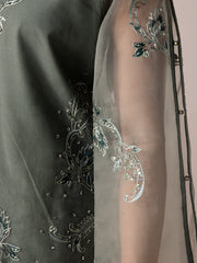 AURAPRET By Zebtan Stitched 3 Piece Luxury Formals Collection'2026-Aurapret-06 | 3 Piece Embroidered Organza Suit