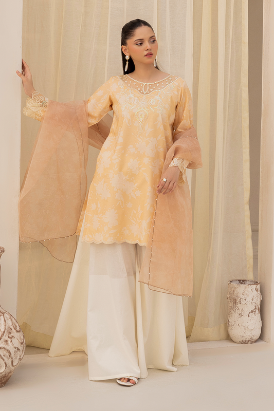 Daastan Edit 01 By Esra Stitched 3 Piece Emb Lawn Collection-DT-25-02