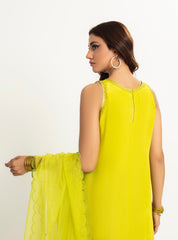 Rangeen Stitched Lime