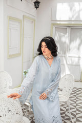 Dressline Launching New Un Stitched 3 Pcs Premium Dyed Lawn Fancy Full Chikankari With Sequence Emb Collection 2025