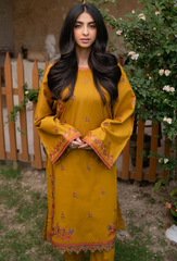 Humdum Stitched 2 Piece Emb Lawn Pret Collection'2025-02