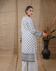 Ayla Studio Stitched Luxury Collection'2025-Assp-107 Dobby Spring 2Pcs