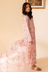 Fusion Festive 24 By Mannat Clothing Stitched Collection-Daphne