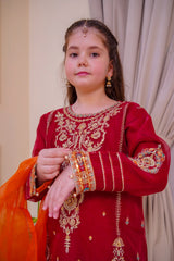 Nain Sukh By Shanzey Stitched 3 Piece Formals Collection'2025-SHK-4701