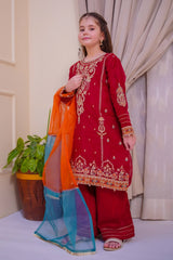 Nain Sukh By Shanzey Stitched 3 Piece Formals Collection'2025-SHK-4701