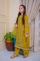 Nain Sukh By Shanzey Stitched 3 Piece Formals Collection'2025-SHK-4703