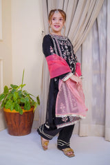 Nain Sukh By Shanzey Stitched 3 Piece Formals Collection'2025-SHK-4704