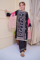 Nain Sukh By Shanzey Stitched 3 Piece Formals Collection'2025-SHK-4704