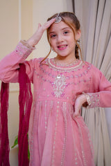 Nain Sukh By Shanzey Stitched 3 Piece Formals Collection'2025-SHK-4705