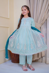 Nain Sukh By Shanzey Stitched 3 Piece Formals Collection'2025-SHK-4706