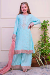 Shanzey Stitched 3 Piece Luxe Raw Silk Edit Formals Collection'2025-SHK-4802-Sky Blue