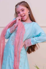 Shanzey Stitched 3 Piece Luxe Raw Silk Edit Formals Collection'2025-SHK-4802-Sky Blue