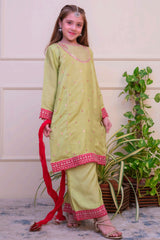 Shanzey Stitched 3 Piece Luxe Raw Silk Edit Formals Collection'2025-SHK-4803-Lime Green