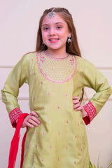 Shanzey Stitched 3 Piece Luxe Raw Silk Edit Formals Collection'2025-SHK-4803-Lime Green