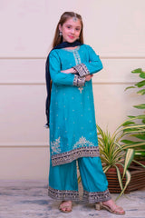 Shanzey Stitched 3 Piece Luxe Raw Silk Edit Formals Collection'2025-SHK-4806-Sea Green