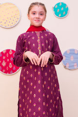 Shanzey Girls Stitched 3 Piece Printed Cambric Pret Collection'2025-SHK-4902
