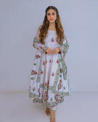 Ayla Studio Stitched Luxury Collection'2025-Asbp- 101 Dobby Spring 3Pcs