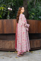 Mah E Noor By Panache Apparel Stitched Collection-Rosabel