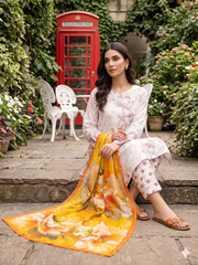 Dr Print 17 By Dr Haris Unstitched 3 Piece Lawn Suit-DPR-0161