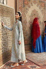 Romansiyyah By Emaan Adeel Unstitched 3 Piece Luxury Formals Collection'2025-Shabeena