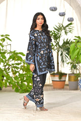 Dhaga Stitched 2 Piece Lawn Collection'2025-Enzo