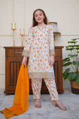 Seher o Eid By Shanzey Stitched 3 Piece Lawn Co Ords Suit-SHK-6803