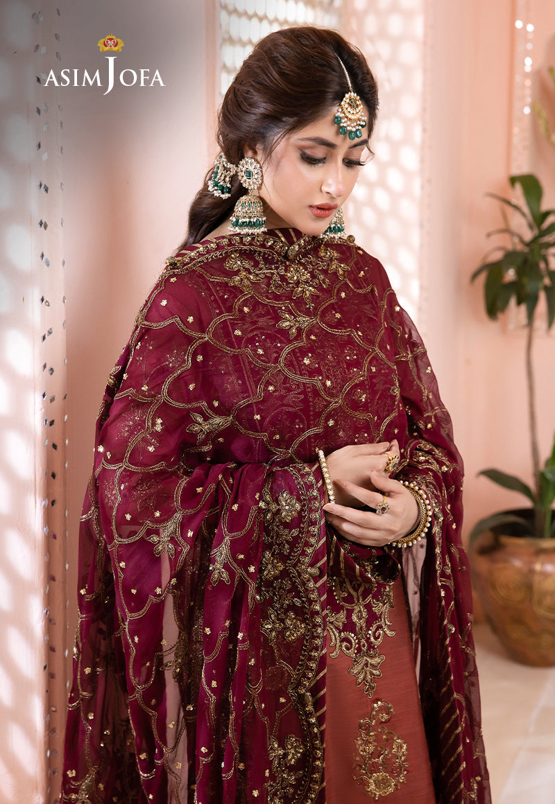 Asim Jofa Chandni '23 Ajcc-01 Designers Stitched Embroidered Raw Silk 3 Pcs